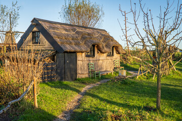 Fototapeta Mały, stary wiejski domek z kawałkiem ogródka. Proste wiejskie życie blisko przyrody. Dary ziemi w postaci warzyw i owoców. obraz