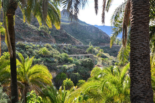 acquedotto romano di fataga paese della gran canaria