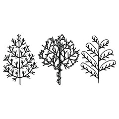 simple doodle illustration of winter trees. Vector illustration