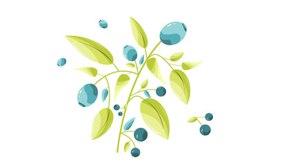 Blueberry branch, vector illustration.Blueberries, a fresh natural product for health.Design concept for banner,website,web page,web advertising.