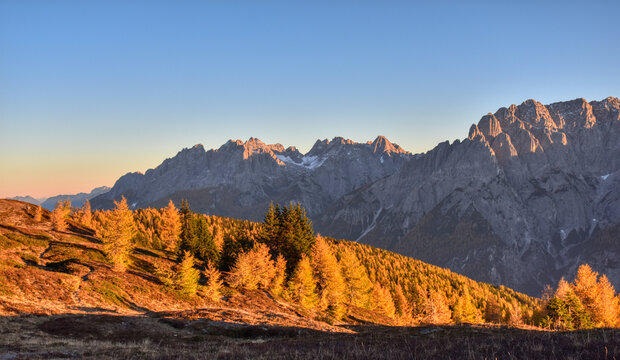 Abend, Abendd&auml;mmerung, D&auml;mmerung, d&auml;mmern, Alpen, Hochstein, Lienzer Dolomiten, Wald, L&auml;rchen, L&auml;rche, Baum, L&auml;rchenwald, Silhouette, Lienz, Osttirol, Himmel, Abendrot, Sonnenuntergang, Blaue Stunde, 