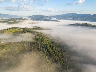 Green mountains of the Ukrainian Carpathians in the morning fog. Aerial drone view.
