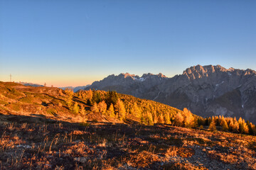 Abend, Abenddämmerung, Dämmerung, dämmern, Alpen, Hochstein, Lienzer Dolomiten, Wald, Lärchen,...