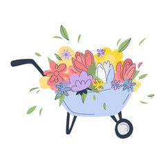 Big bouquet of flowers with leaves in a garden cart. Spring flowers in cute blue garden cart. Spring concept. - 496101073
