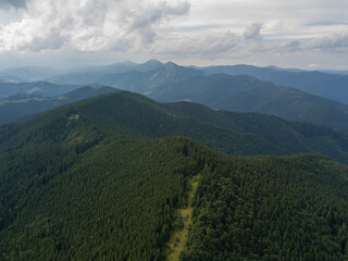 Obraz premium Green mountains of Ukrainian Carpathians in summer. Aerial drone view.