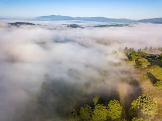 Morning fog in the Ukrainian Carpathians. Aerial drone view.