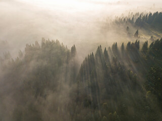 Fototapeta premium The rays of the morning sun through the fog in the mountains. Aerial drone view.