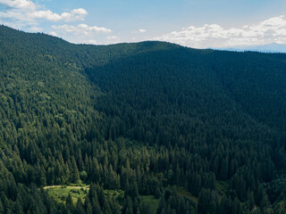Obraz premium Green mountains of Ukrainian Carpathians in summer. Sunny day, rare clouds. Aerial drone view.
