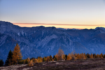 Abend, Abenddämmerung, Dämmerung, dämmern, Alpen, Hochstein, Lienzer Dolomiten, Wald, Lärchen,...