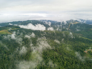 Green slopes of Ukrainian Carpathian mountains in summer. Cloudy morning, low clouds. Aerial drone view.