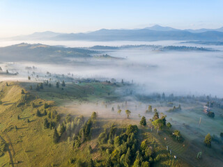Green mountains of the Ukrainian Carpathians in the morning mist. Aerial drone view.