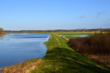 Fototapeta premium Hochwasser am Fluss Aller im Winter in der Stadt Rethem, Niedersachsen