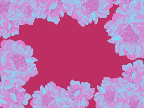 Cornice botanica floreale primaverile rosa peonia