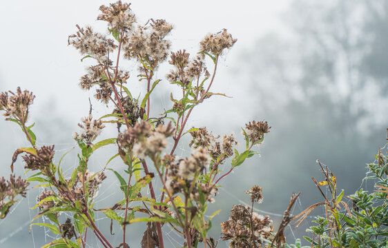 Mokre 이미지 찾아보기 908 스톡 사진, 벡터 및 비디오 Adobe Stock