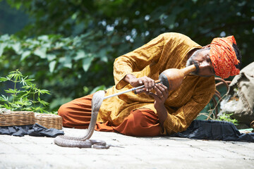 Snake charmer man in turban playing music before snake in India