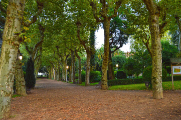 Obraz premium Jardín botánico de Padrón en la provincia de La Coruña, comarca del Sar, Galicia, España. 