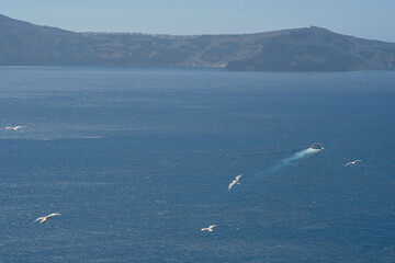 Fototapeta premium View of a small ferry boat that just left the harbour of Santorini and seagulls flying above it