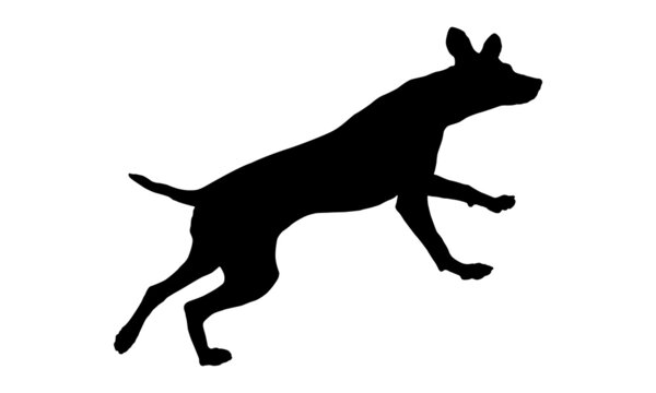 Black dog silhouette. Running and jumping dalmatian dog puppy. Pet animals. Isolated on a white background.