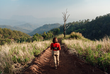 Naklejka premium A woman in a red long-sleeve with a white hat walks on golden dry grasslands at Hadubi, Chiang Mai, Thailand.