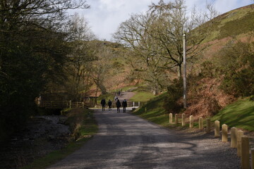 a view down the valleys of carding mill valley © JoeE Jackson