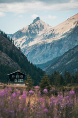 house in the mountains