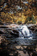 Waterfall in Autumn, Sunny day, Hong Kong, outdoor