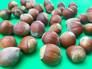 hazelnuts close up