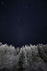 Amazing winter landscape with the starry sky and forest covered in snow. Mountains region in Ukraine