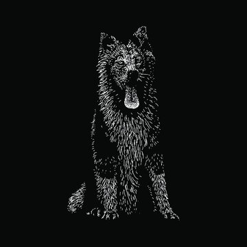 yakutian laika illustration isolated on black background