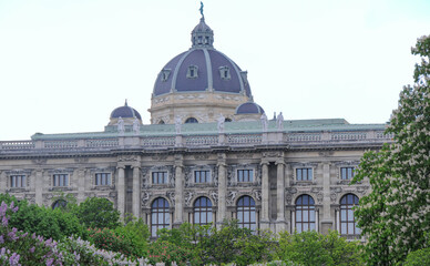 Fototapeta na wymiar Museum of Art in Vienna, spring blossoming park with beautiful architecture