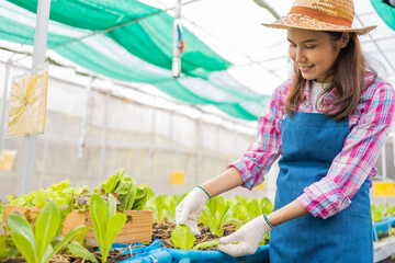 Woman farmer and checking fresh vegetable salad for finding pest in an organic farm in a greenhouse garden, Concept of agriculture organic for health, Vegan food and Small business.