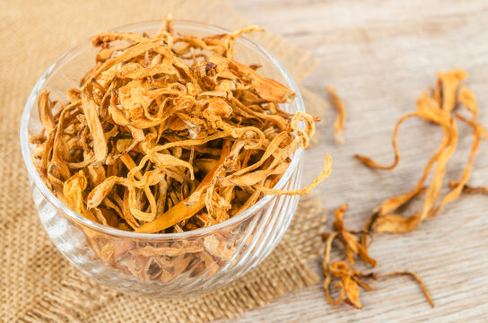 Dried cordyceps militaris mushroom flower on wooden background.