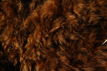 Cow fur full frame