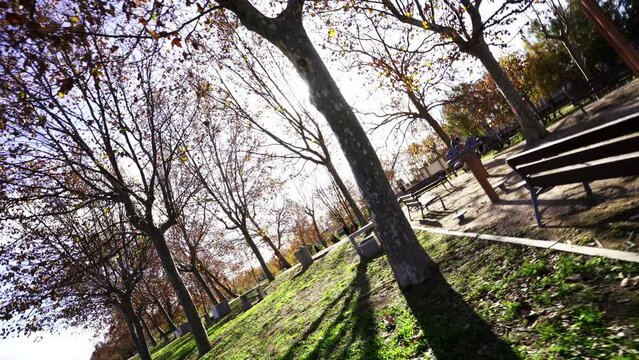 vertigo effect rotation around a sunshine springtime landscape natural eco sustainable environment outdoor park with tree branches Near death experience concept 