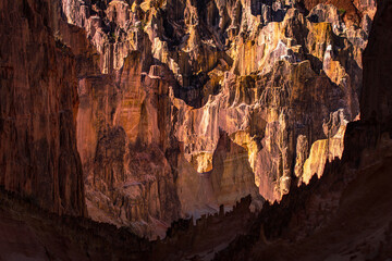 In the middle of the canyon