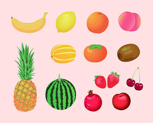 계절과일 모음 벡터 일러스트