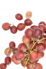 Red grapes or Globe placed on a white background.