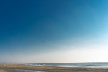 Stormy day at the north sea. North sea beach. Cold day on the North Sea.