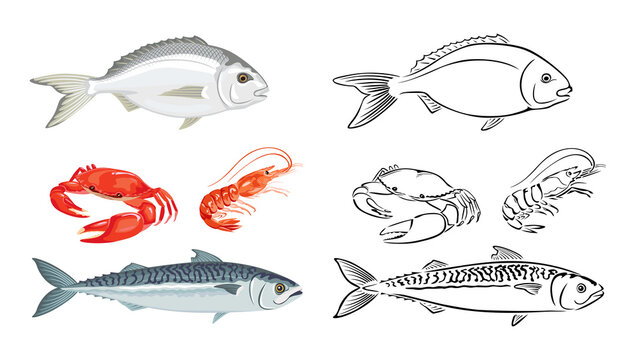 Seafood and fish set. Vector illustration of dorado, shrimp, crab and mackerel. Cartoon flat icon and black and white outline. 