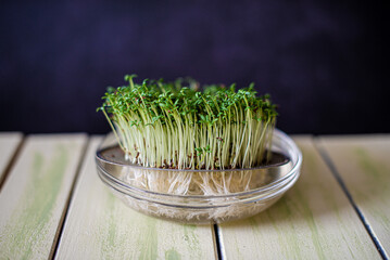 cress in the glass bowl

