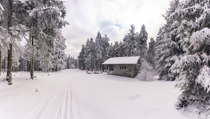 Winter am Rennsteig mit Ski Langlauf Loipe