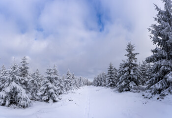 Fototapeta na wymiar Skispur in einsamer Winterlandschaft