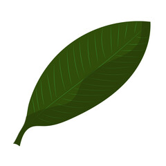 A single element is a green leaf of a plant or flower. Vector.