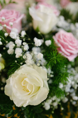 Natural pink white rose bouquet in natural lightning outdoors on display with blurry blank intentional background