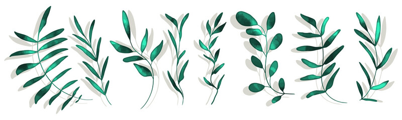Hand drawn colorful plant set with shadows - universally usable. Flower branch and minimalistic modern plants. Hand drawn lines, elegant leaves for your own design. Botanical, chic and trendy plants.