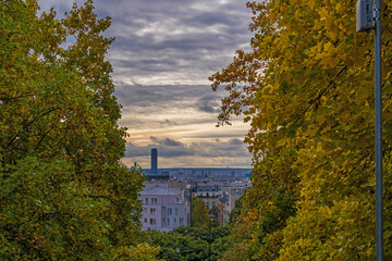 Paris Rooftops and Montparnasse Tower at Day Under Cloudy Sky Trees