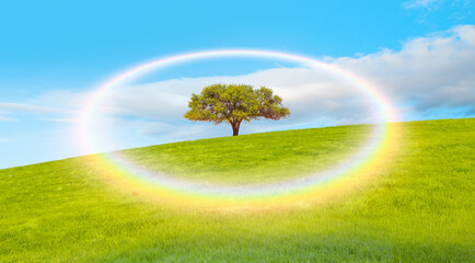 Fototapeta na wymiar Beautiful landscape with green grass field and lone tree in the background amazing rounded rainbow