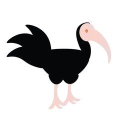 A bird looking at you