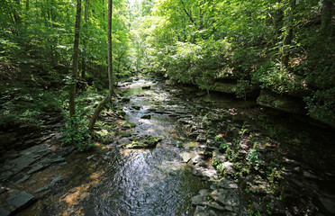 Bobo Creek - Short Springs Natural Area, Tennessee