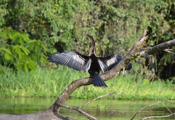 Naklejka premium LA SELVA